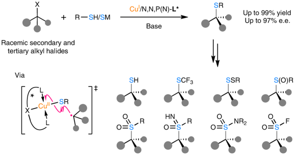 A general copper-catalysed enantioconvergent C(<i>sp</i><sup>3</sup>)–S cross-coupling via biomimetic radical homolytic substitution