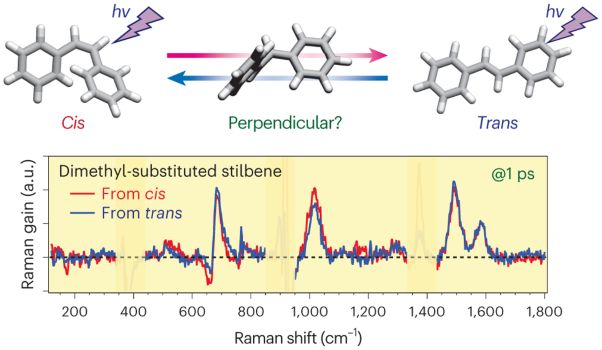 Ultrafast Raman observation of the perpendicular intermediate phantom state of stilbene photoisomerization