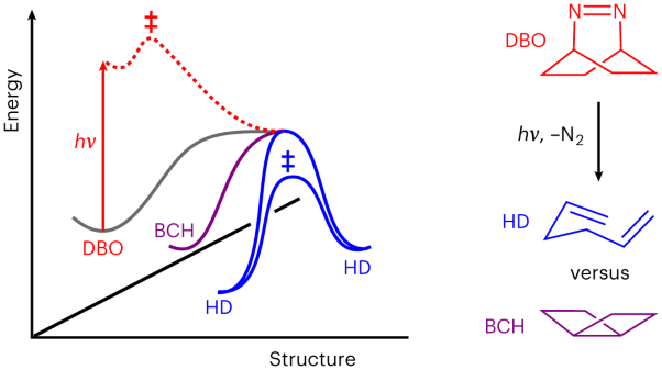 Analogies between photochemical reactions and ground-state post-transition-state bifurcations shed light on dynamical origins of selectivity