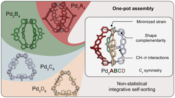 Non-statistical assembly of multicomponent [Pd<sub>2</sub>ABCD] cages