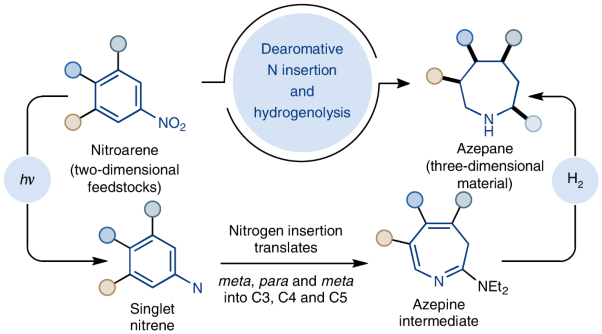 Synthesis of polysubstituted azepanes by dearomative ring expansion of nitroarenes