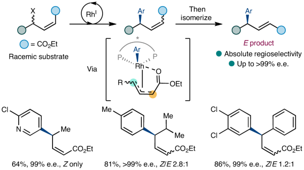 Chelation enables selectivity control in enantioconvergent Suzuki–Miyaura cross-couplings on acyclic allylic systems