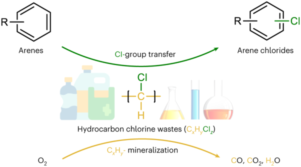 Tandem catalysis enables chlorine-containing waste as chlorination reagents