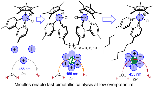 Catalyst self-assembly accelerates bimetallic light-driven electrocatalytic H<sub>2</sub> evolution in water