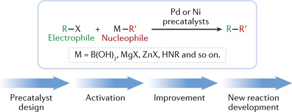 Well-defined nickel and palladium precatalysts for cross-coupling