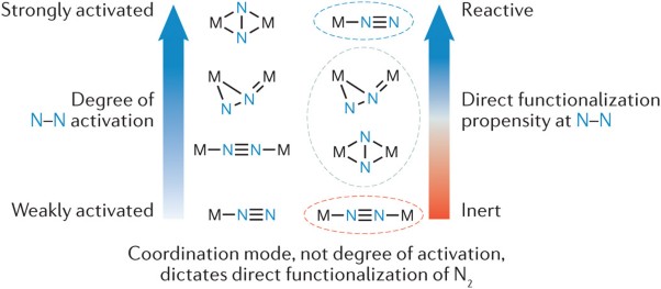 Examining the relationship between coordination mode and reactivity of dinitrogen