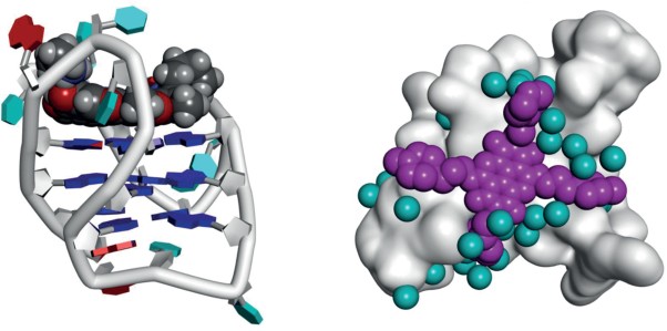 Quadruplex nucleic acids as targets for anticancer therapeutics