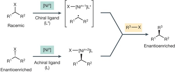 Stereospecific and stereoconvergent cross-couplings between alkyl electrophiles