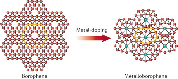 From planar boron clusters to borophenes and metalloborophenes