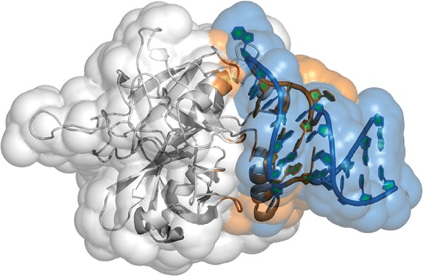 Analysis of aptamer discovery and technology