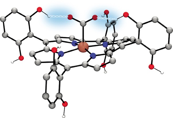 Towards an intelligent design of molecular electrocatalysts