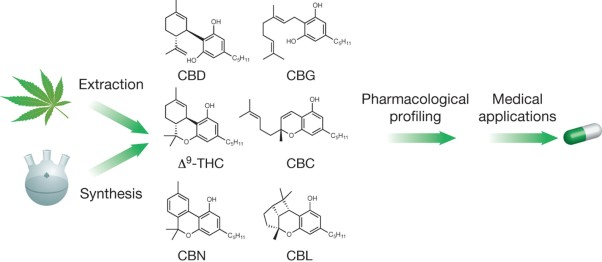 The evolving science of phytocannabinoids