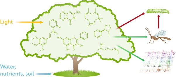 Modern approaches to study plant–insect interactions in chemical ecology