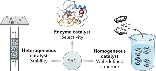 Heterogeneous single-atom catalysis