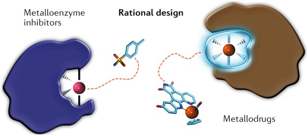 Metal–ligand interactions in drug design