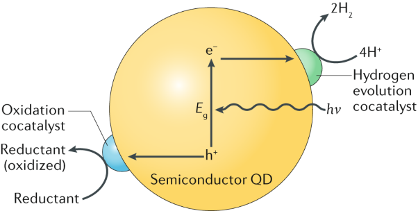 Semiconducting quantum dots for&#xa0;artificial photosynthesis