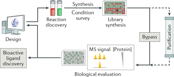 Streamlining bioactive molecular discovery through integration and automation