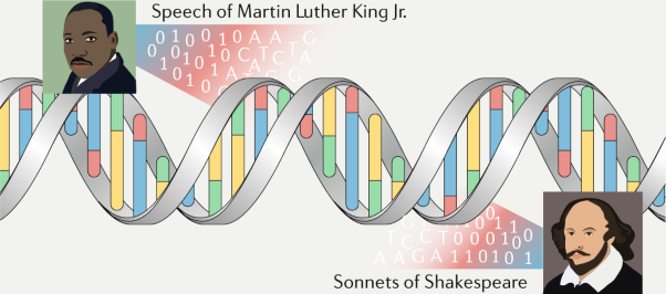 Encoding information into polymers