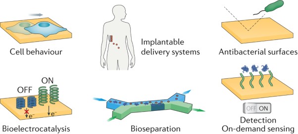 The increasing dynamic, functional complexity of bio-interface materials