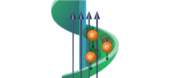 Chiral molecules and the electron spin