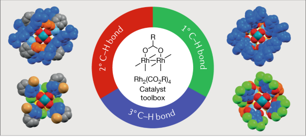 Dirhodium tetracarboxylates as catalysts for selective intermolecular C–H functionalization