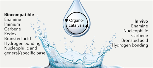 Organocatalysis in aqueous media