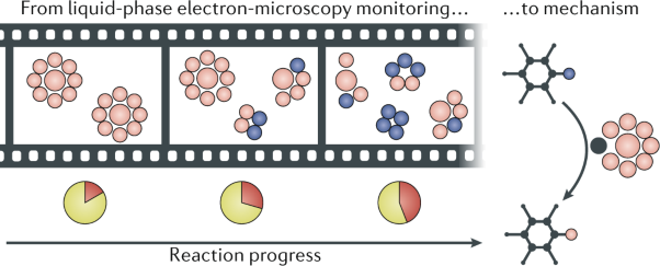 Monitoring chemical reactions in liquid media using electron microscopy