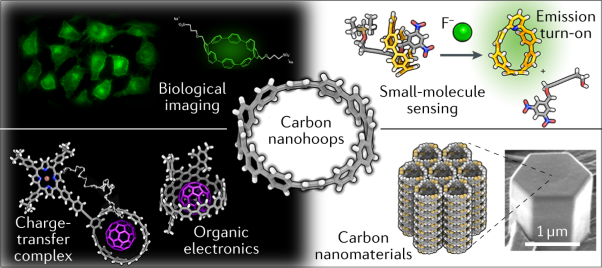Emerging applications of carbon nanohoops