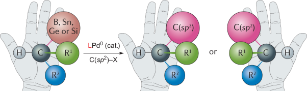 Stereoselectivity in Pd-catalysed cross-coupling reactions of enantioenriched nucleophiles