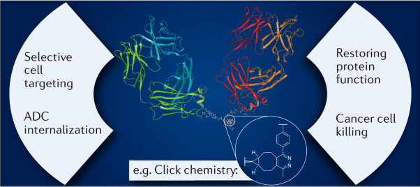 The renaissance of chemically generated bispecific antibodies