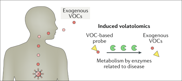 Induced volatolomics of pathologies