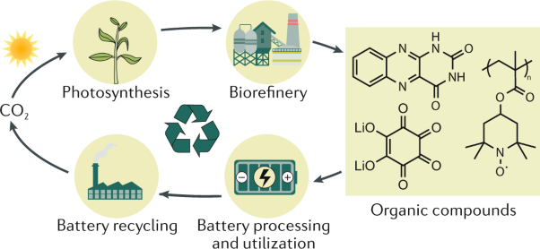 Prospects of organic electrode materials for practical lithium batteries