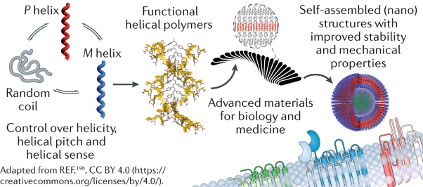 Helical polymers for biological and medical applications