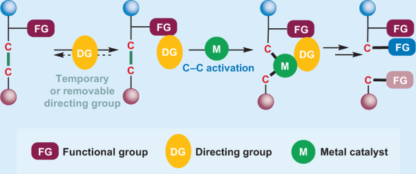 Temporary or removable directing groups enable activation of unstrained C–C bonds