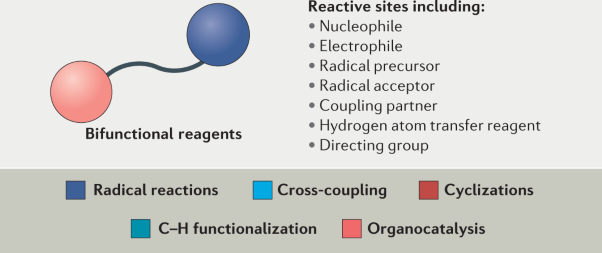 Bifunctional reagents in organic synthesis
