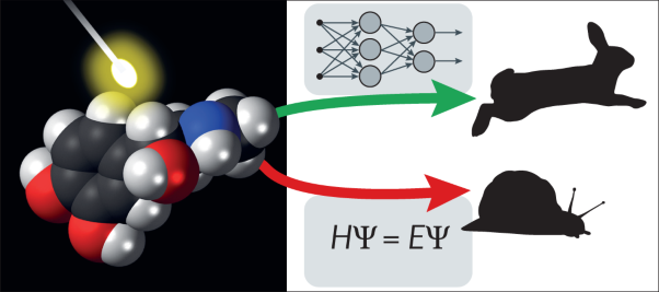 Molecular excited states through a machine learning lens