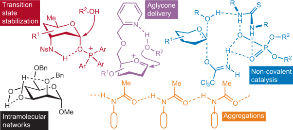 Exploiting non-covalent interactions in selective carbohydrate synthesis