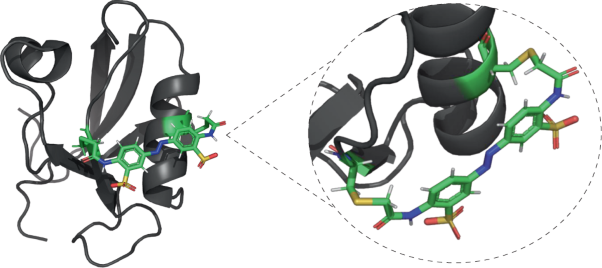 Using azobenzene photocontrol to set proteins in motion
