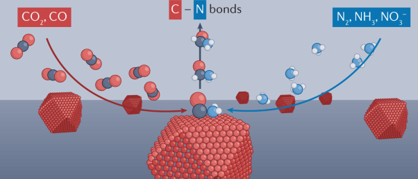Construction of C–N bonds from small-molecule precursors through heterogeneous electrocatalysis