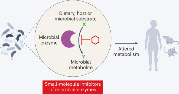 Targeting the human gut microbiome with small-molecule inhibitors