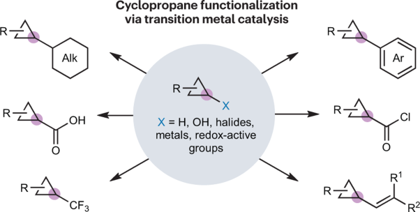Metal-catalysed C–C bond formation at cyclopropanes