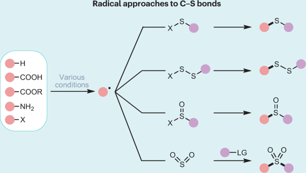 Radical approaches to C–S bonds