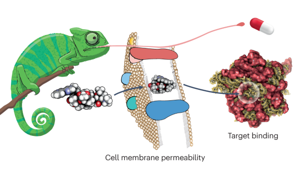 Molecular chameleons in drug discovery