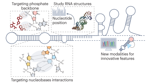 Small molecule approaches to targeting RNA