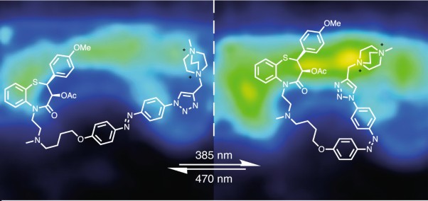 Optical control of L-type Ca<sup>2+</sup> channels using a diltiazem photoswitch