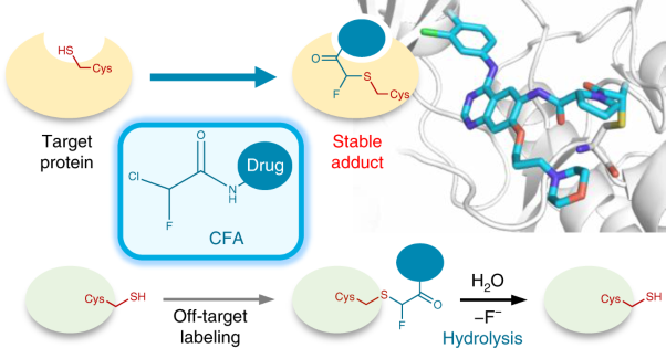 Selective and reversible modification of kinase cysteines with chlorofluoroacetamides