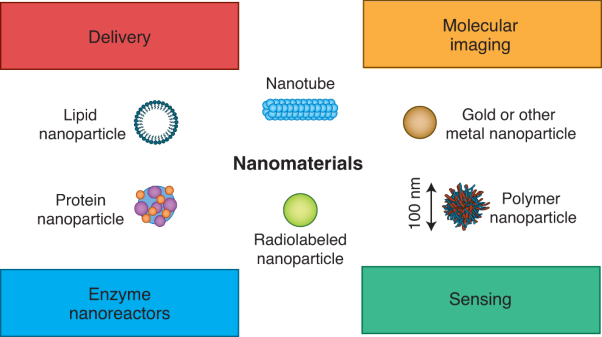 Harnessing nanotechnology to expand the toolbox of chemical biology