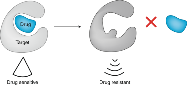 Chemical strategies to overcome resistance against targeted anticancer therapeutics