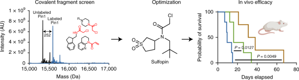 Sulfopin is a covalent inhibitor of Pin1 that blocks Myc-driven tumors in vivo