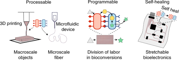 Programmable living assembly of materials by bacterial adhesion